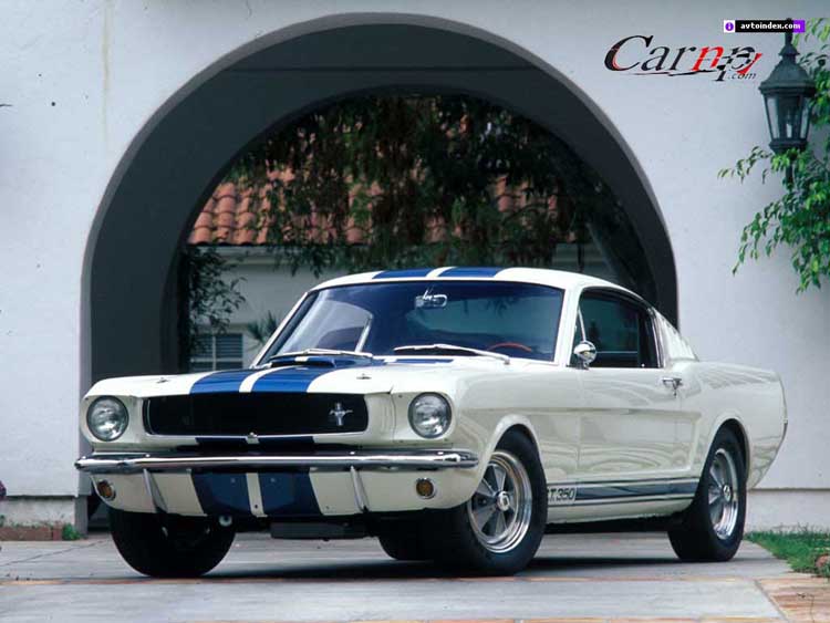 mustang 3